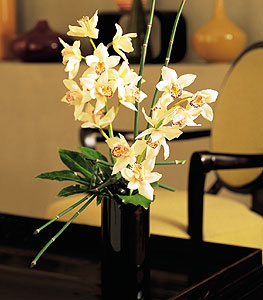  Mula kaliteli taze ve ucuz iekler  cam yada mika vazo ierisinde dal orkide