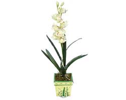 Özel Yapay Orkide Beyaz   Muğla internetten çiçek satışı 