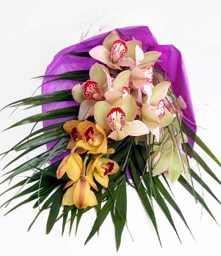  Mula nternetten iek siparii  1 adet dal orkide buket halinde sunulmakta