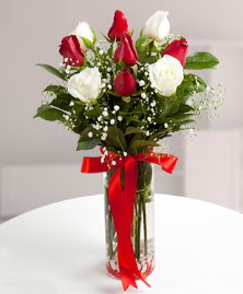 5 kırmızı 4 beyaz gül vazoda  Muğla İnternetten çiçek siparişi 