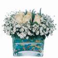 mika ve beyaz gül renkli taslar   Muğla uluslararası çiçek gönderme 
