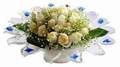 cam günes ve dolunay bembeyaz  Muğla 14 şubat sevgililer günü çiçek 