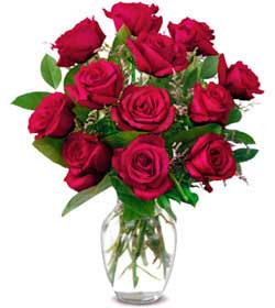  Muğla online çiçekçi , çiçek siparişi  1 düzine kirmizi gül sevenlere özel vazo gülleri