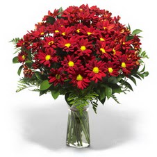  Muğla online çiçek gönderme sipariş  Kir çiçekleri cam yada mika vazo içinde