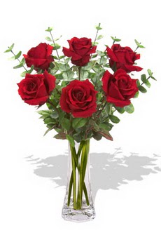  Muğla çiçek online çiçek siparişi  6 kırmızı gül vazosu