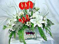  Muğla ucuz çiçek gönder  Anthurim Kazablanka  gül