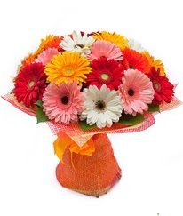 Renkli gerbera buketi  Muğla çiçek gönderme 