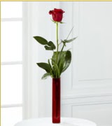 Vazo içerisinde 1 adet kırmızı gül  Muğla güvenli kaliteli hızlı çiçek 
