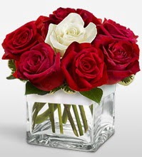 Tek aşkımsın çiçeği 8 kırmızı 1 beyaz gül  Muğla çiçek gönderme sitemiz güvenlidir 