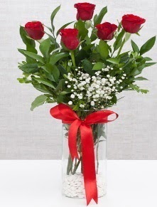cam vazo içerisinde 5 adet kırmızı gül  Muğla İnternetten çiçek siparişi 
