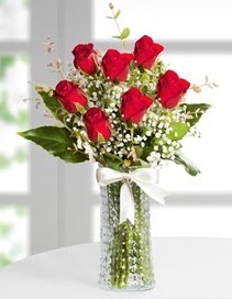 Cam vazoda 7 adet kırmızı gül  Muğla 14 şubat sevgililer günü çiçek 