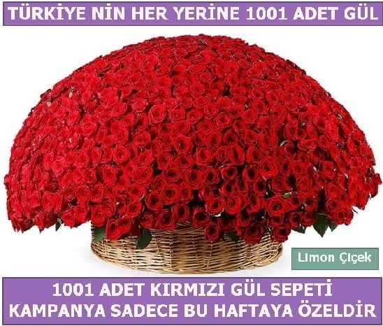1001 Adet kırmızı gül Bu haftaya özel  Muğla internetten çiçek siparişi 