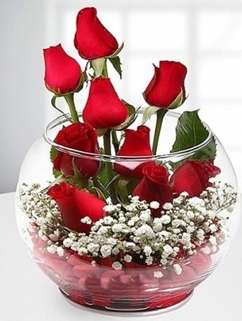 Kırmızı Mutluluk fanusta 9 kırmızı gül  Muğla çiçek servisi , çiçekçi adresleri 