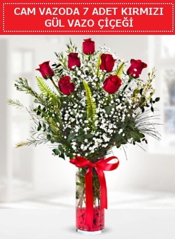 Cam vazoda 7 adet kırmızı gül çiçeği  Muğla çiçek siparişi vermek 